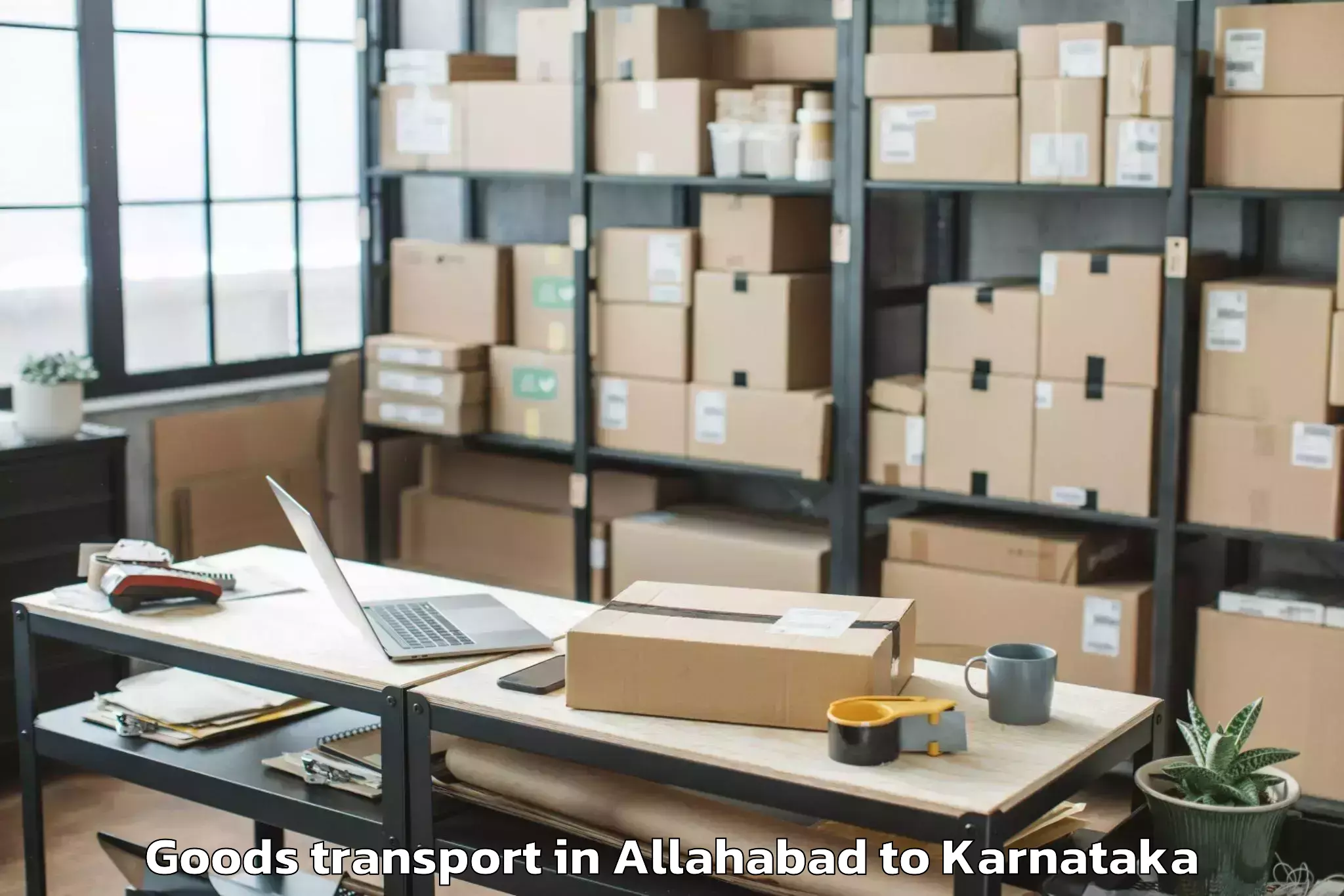 Top Allahabad to Bagepalli Goods Transport Available